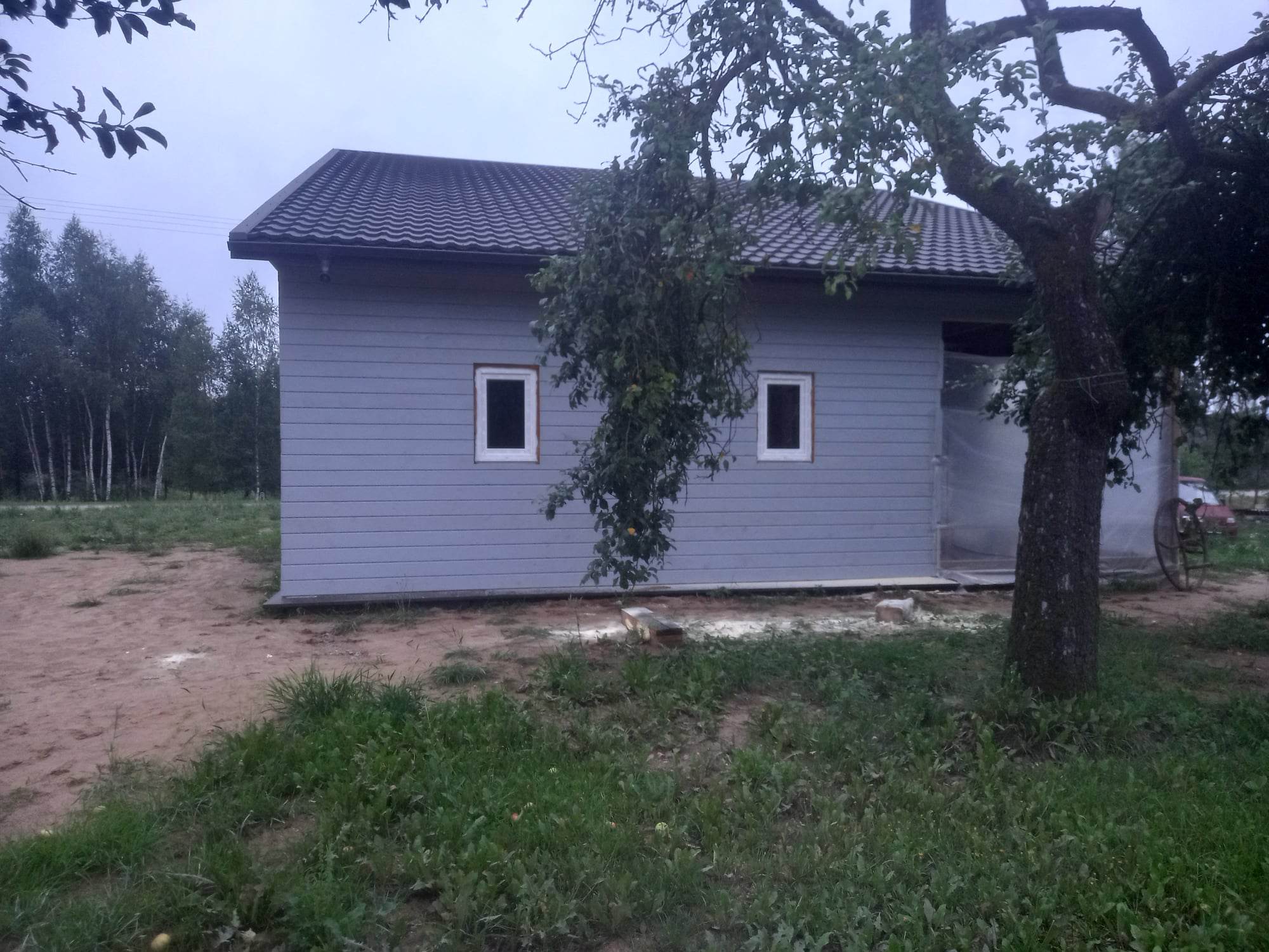RŪKAS